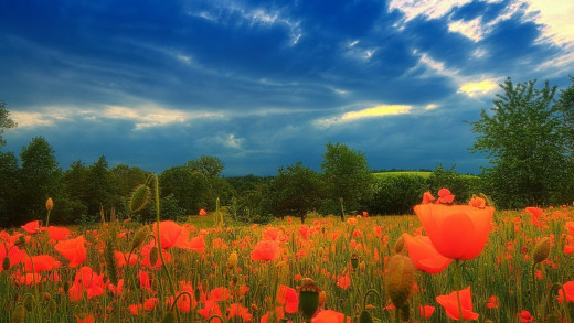 �1762244 �������(a): ����������:1920x1080